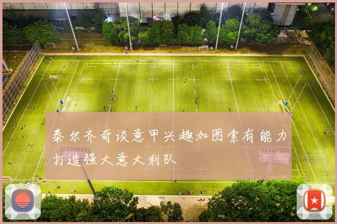 泰尔齐奇谈意甲兴趣加图索有能力打造强大意大利队