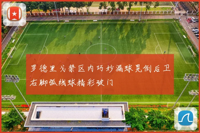 罗德里戈禁区内巧妙漏球晃倒后卫右脚弧线球精彩破门
