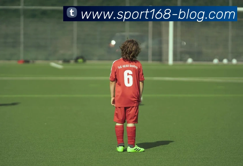 168体育APP 封面图